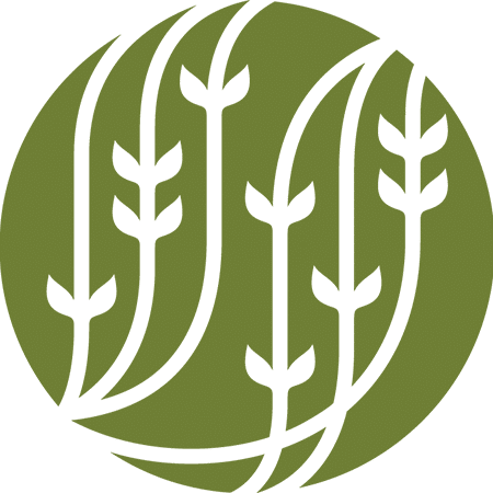 Logo Palais des Thés